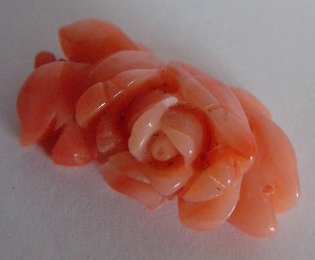old carved coral rose
